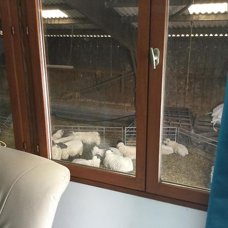 Le Loup Dans La Bergerie Panzió Montmartin-sur-Mer Kültér fotó