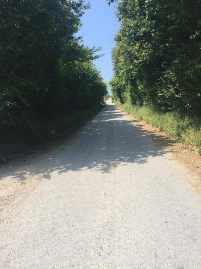 Le Loup Dans La Bergerie Panzió Montmartin-sur-Mer Kültér fotó